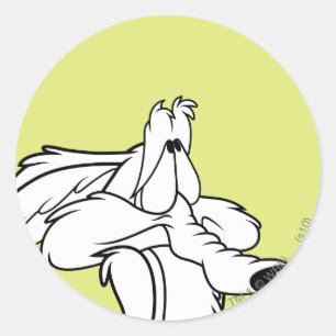 STICKER ROND WILE E. COYOTE™