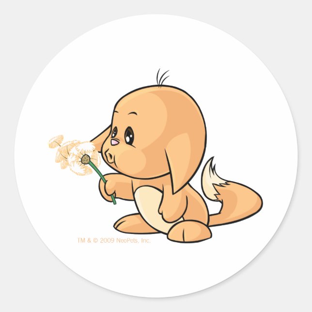 Sticker Rond Wishing orange Kacheek (Devant)
