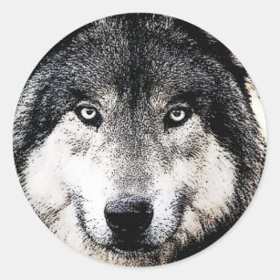Sticker Rond Wolf Eyes