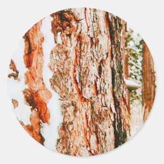 Sticker Rond Wonderland d'hiver à Bend - Oregon