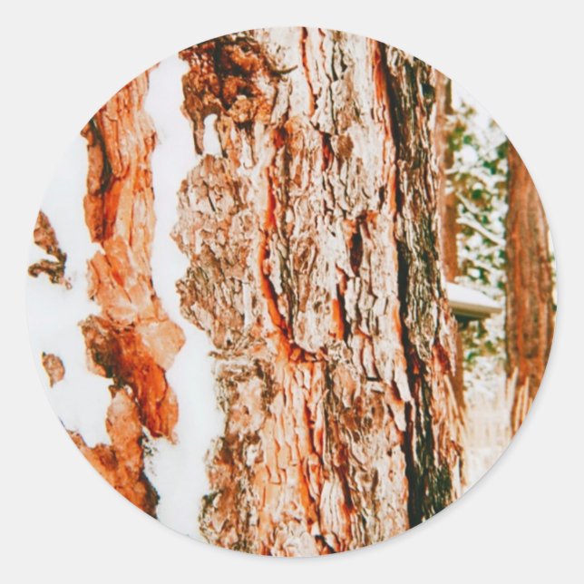 Sticker Rond Wonderland d'hiver à Bend - Oregon (Devant)