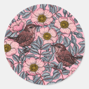 Sticker Rond Wrens en rose