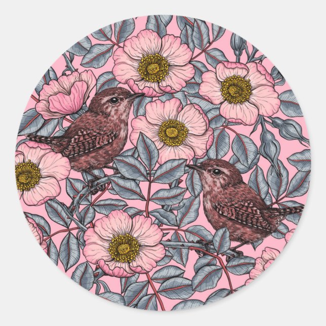 Sticker Rond Wrens en rose (Devant)