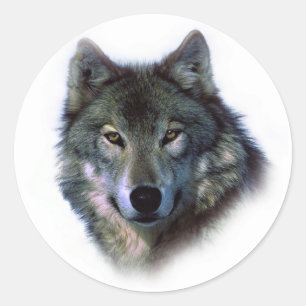 Sticker Rond Yeux de loup gris