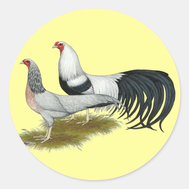 Sticker Rond Yokohama : Paire de caniche d'argent (Devant)