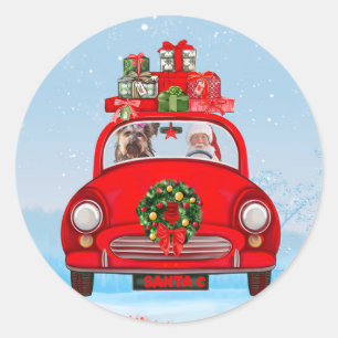 Sticker Rond Yorkshire Terrier Chien En Voiture Avec Le Père No