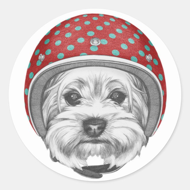Sticker Rond Yorkshire Terrier Daredevil (Devant)
