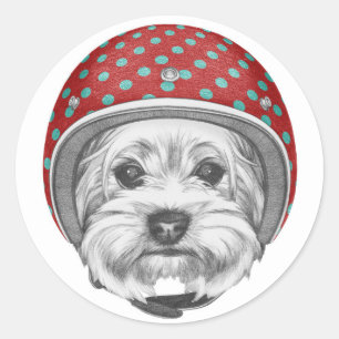 Sticker Rond Yorkshire Terrier Daredevil