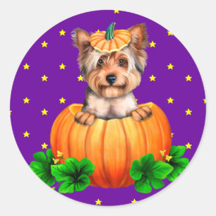 Sticker Rond Yorkshire Terrier Halloween Jack-O-Lantern