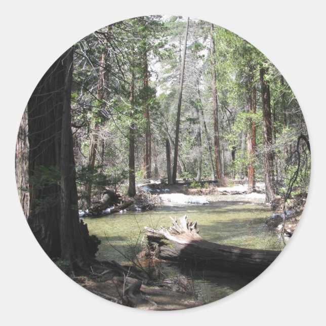 Sticker Rond Yosemite Woods (Devant)