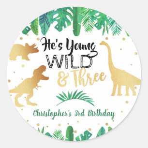 Sticker Rond Young Wild & Three Dinosaur Boys Troisième anniver