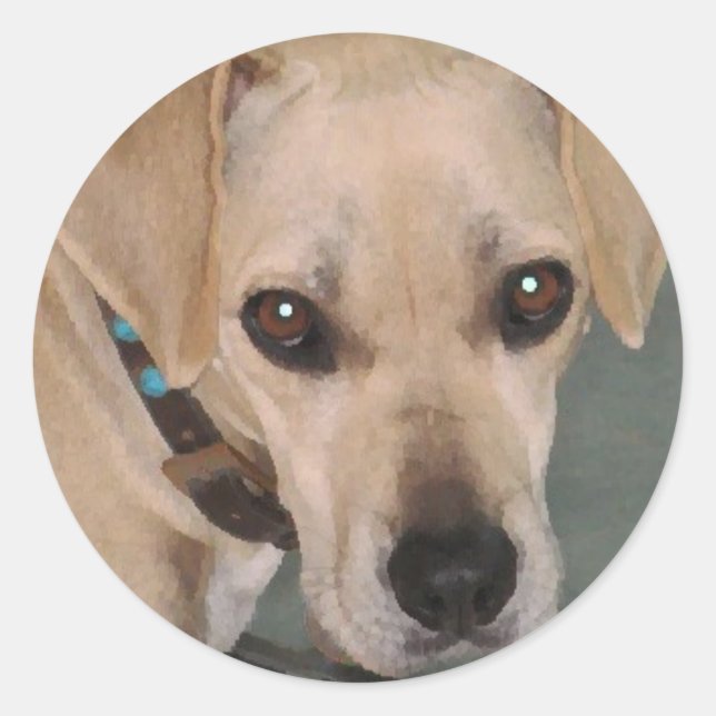 Sticker Rond YY - Baguettes de pup mignonnes (Devant)