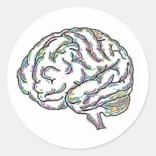 Sticker Rond Zany Brainy