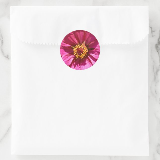 Sticker Rond Zinnia Elegans rose (Sac)