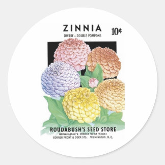 Sticker Rond Zinnia, nain, magasin de semences de Roudabush