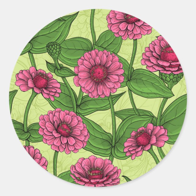 Sticker Rond Zinnias rose sur vert clair (Devant)