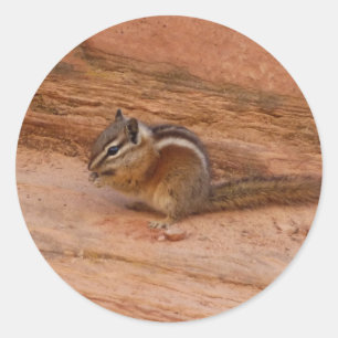 Sticker Rond Zion Chipmunk sur Red Rocks
