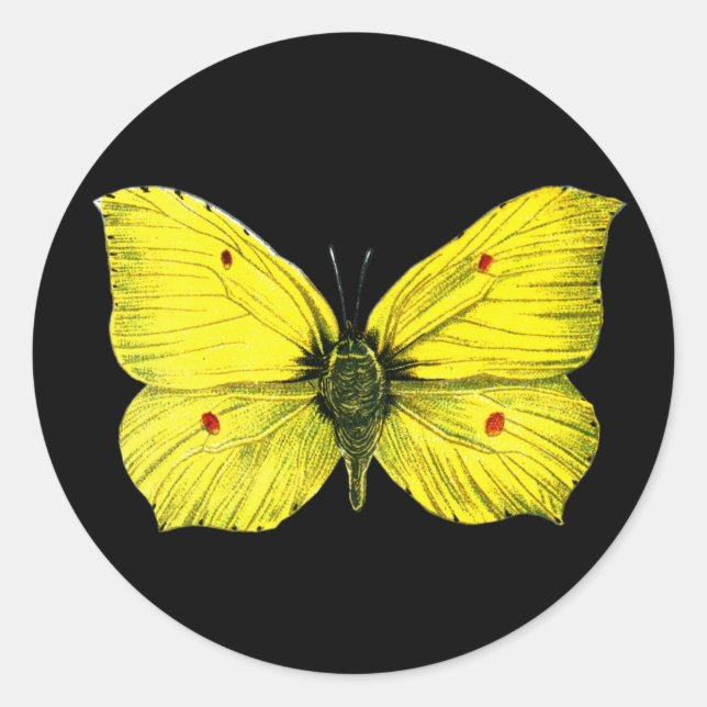 Sticker Rond Zitronenfalter (Devant)