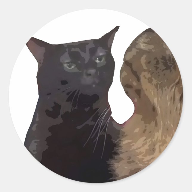 Sticker Rond Zonage de chat noir (Devant)