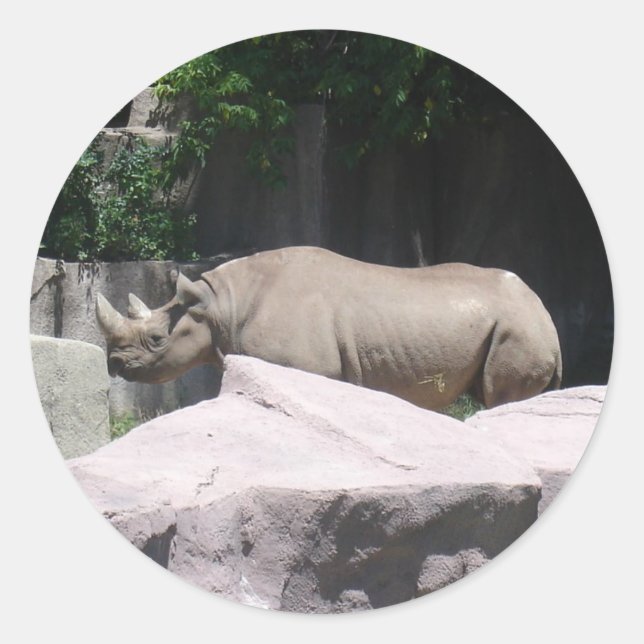 Sticker Rond Zoo Animaux (Devant)