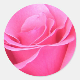 Sticker rose