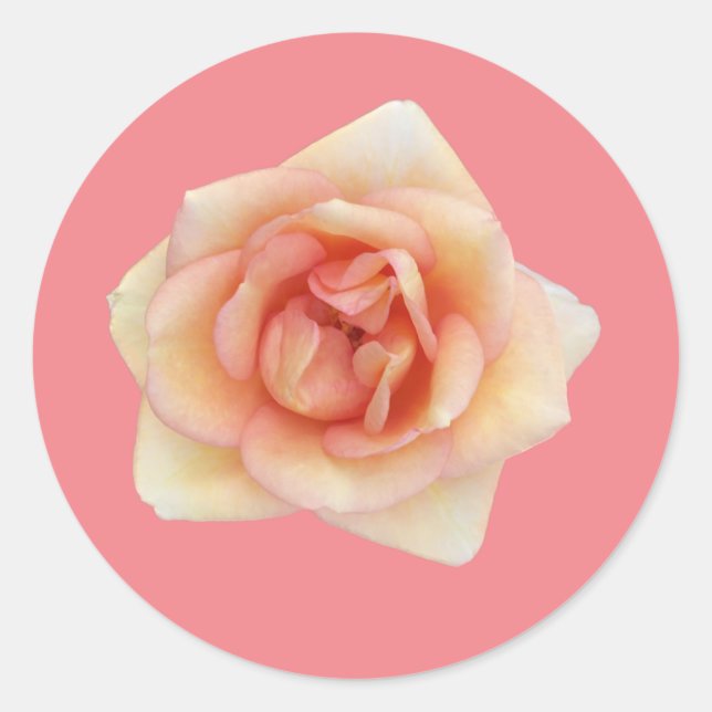 Sticker Rose (Devant)