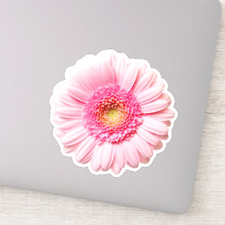 Sticker Rose Daisy