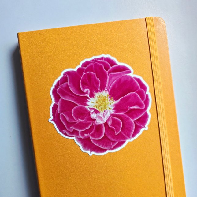 Sticker Rose d'art botanique rose en fleurs (This is a sticker I ordered myself in the Glossy White 4 inch size.)