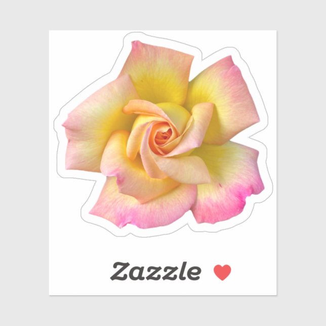 Sticker Rose de la paix rose-spirale (Feuille)