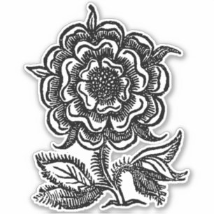 Sticker Rose de la Renaissance