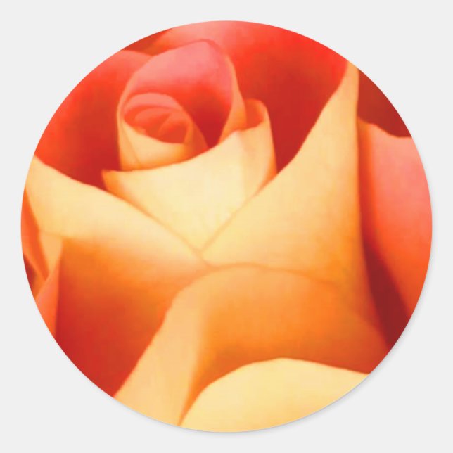 Sticker Rose Enveloppe de Pêche (Devant)