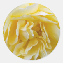 Sticker rose jaune