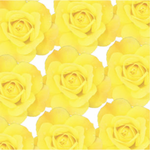 Sticker Rose jaune Motif Floral Fleur Printemps Abstrait