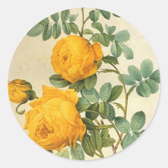 Sticker rose jaune vintage (Devant)