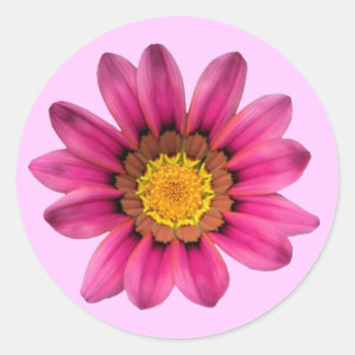 Sticker rose marguerite