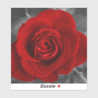 Sticker Rose rouge
