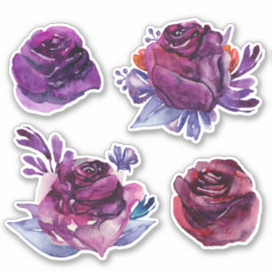 Sticker Roses pourpres d'aquarelle. Botanique florale viol