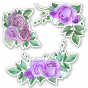 Sticker Roses pourpres d'aquarelle. Fleurs Lilac. Violet