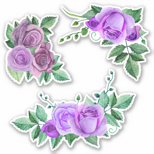 Sticker Roses pourpres d'aquarelle. Fleurs Lilac. Violet (Devant)