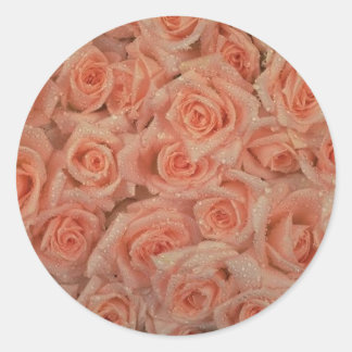 Sticker Roses Rose