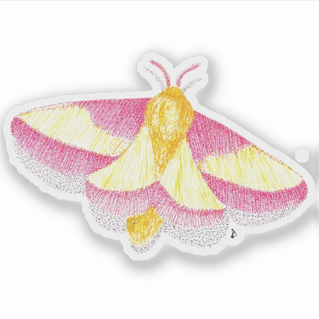 Sticker Rosy Maple Moth (Devant)