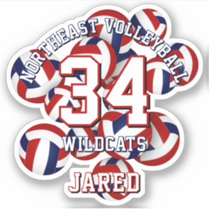 Sticker rouge bleu équipe de sports couleurs volleyballs e