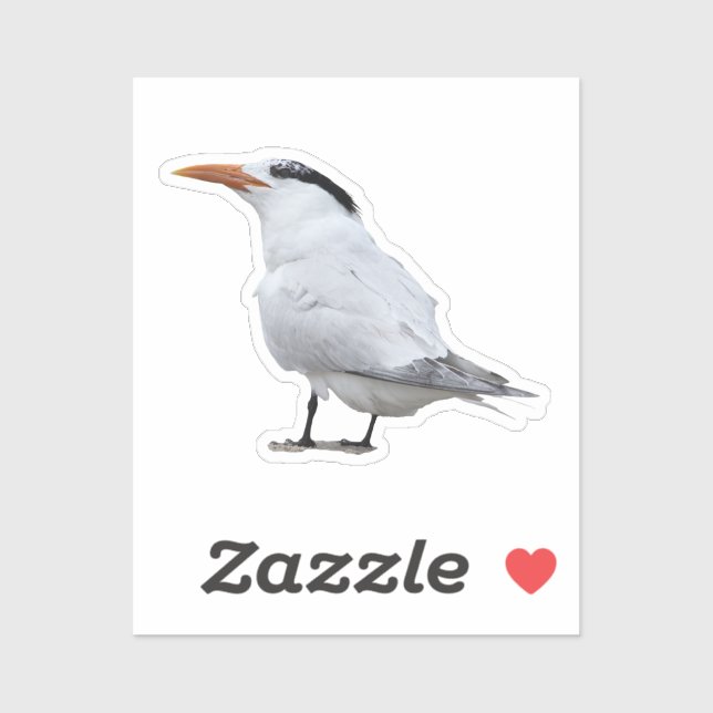 Sticker Royal Tern (Feuille)