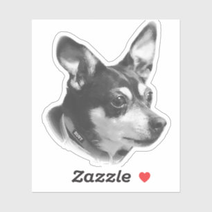 Sticker Ruby transparent ! !