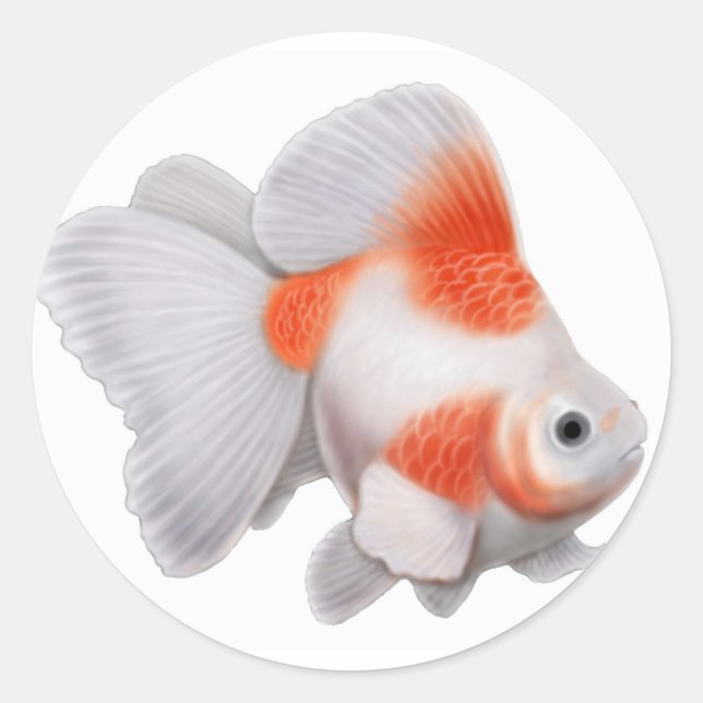 Sticker Ryukin Goldfish (Devant)