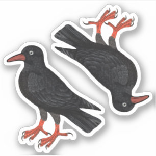Sticker Saint-Piran's Day / St. Thomas Becket Choughs (f)