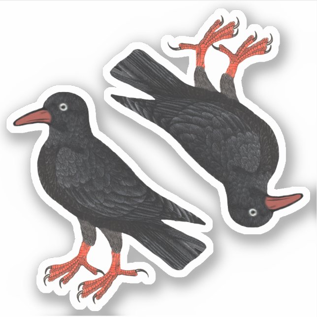 Sticker Saint-Piran's Day / St. Thomas Becket Choughs (f)  (Devant)