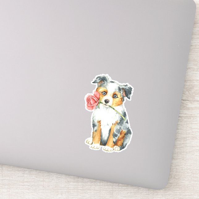 Sticker Saint-Valentin Rose Miniature American Shepherd Vi (Détail)