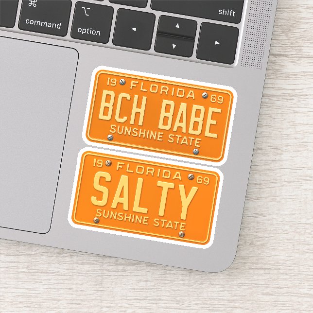 Sticker Salty Beach Babe - Retro Florida License Plate 2pc (Détail)