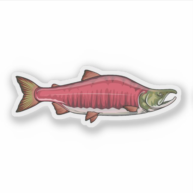 Sticker Saumon Sockeye frai phase 2 (Devant)